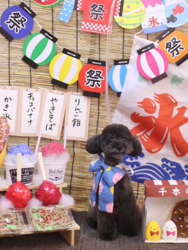 20240704ラテちゃん